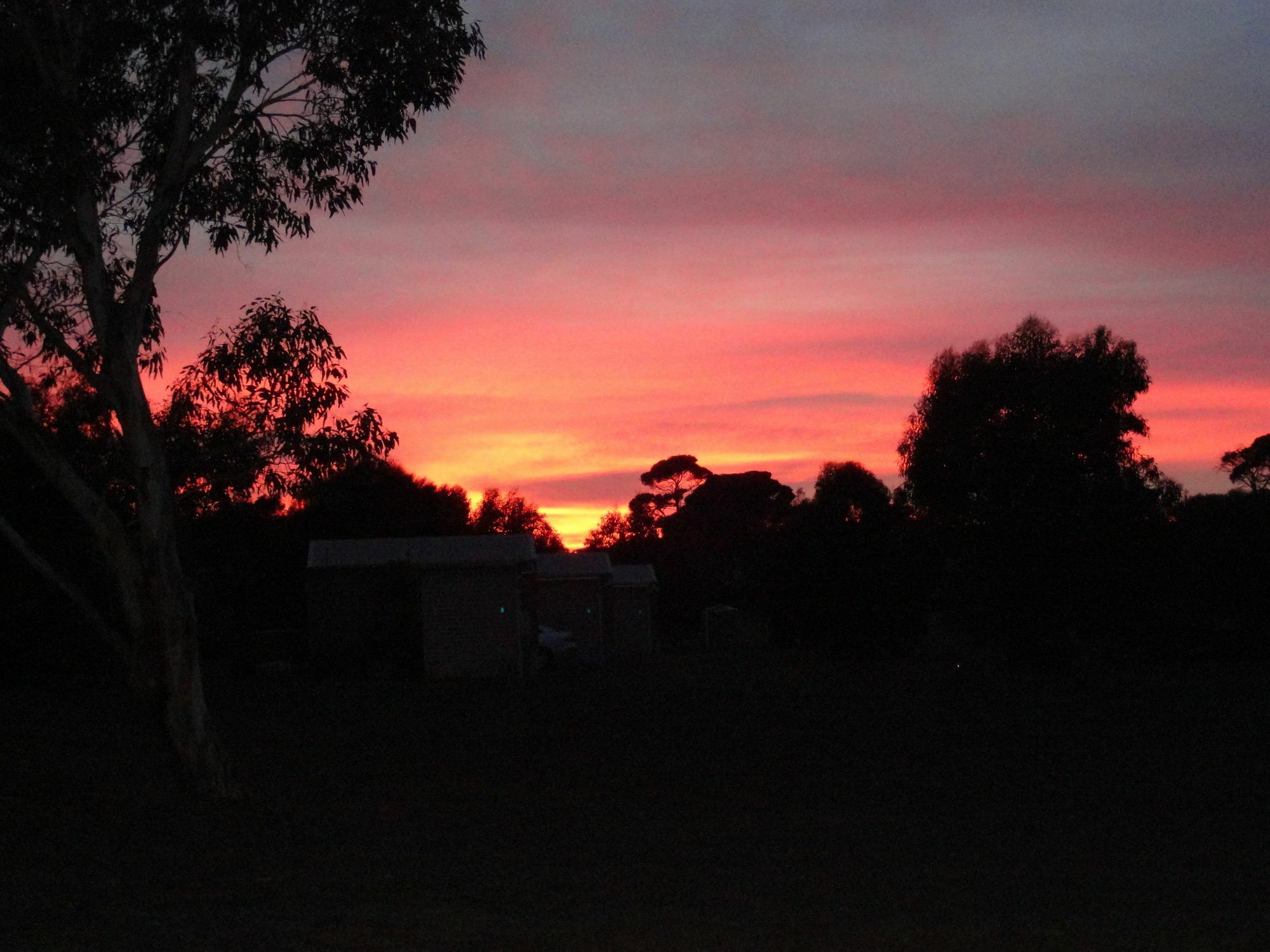 Kangaroo Island Cabins Kingscote Buitenkant foto